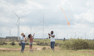 Driving Systemic Action on Climate and Environment: Insights from Projects Across Sectors